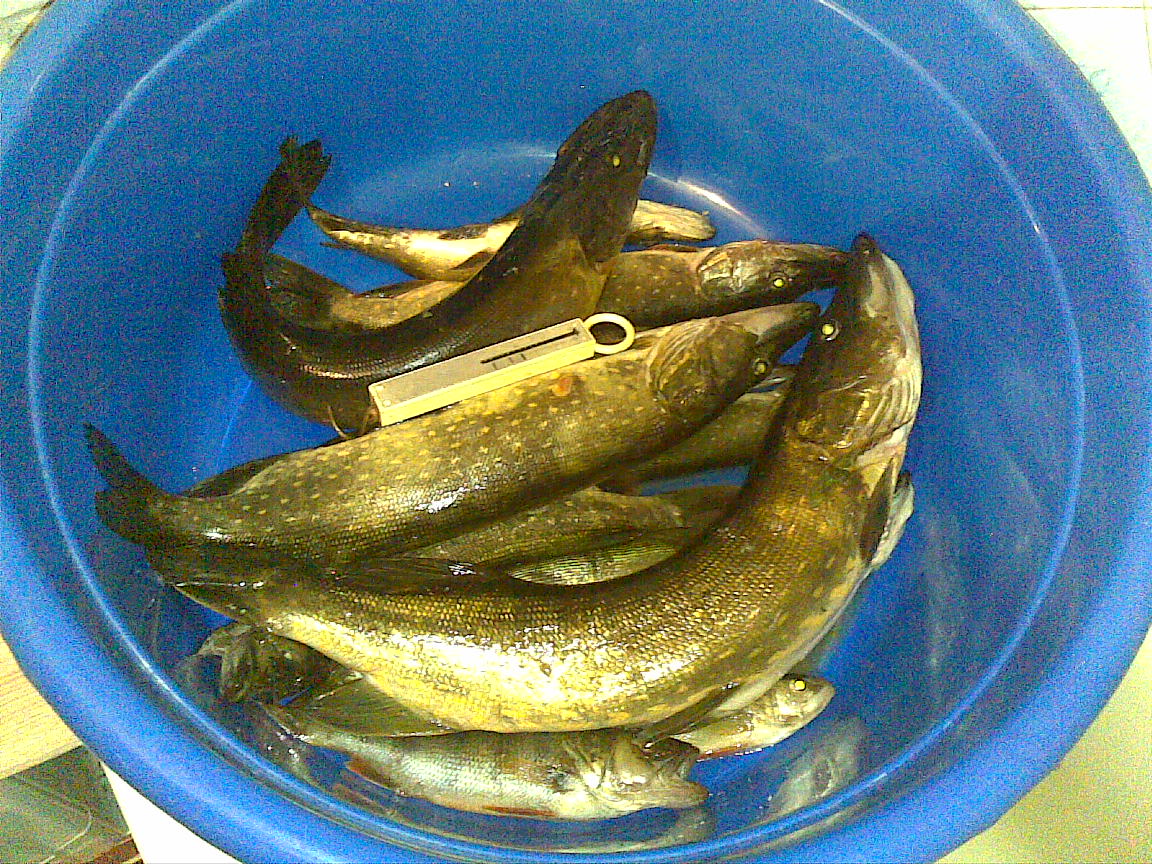 26082010.jpg