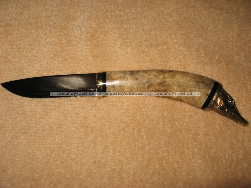 26282465.800x600w.jpg