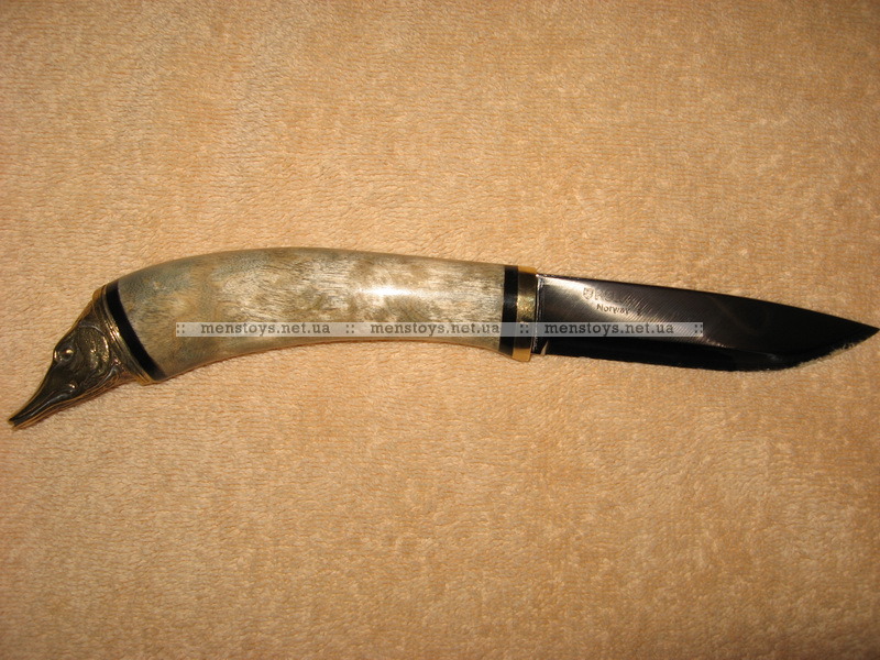 26282466.800x600w.jpg