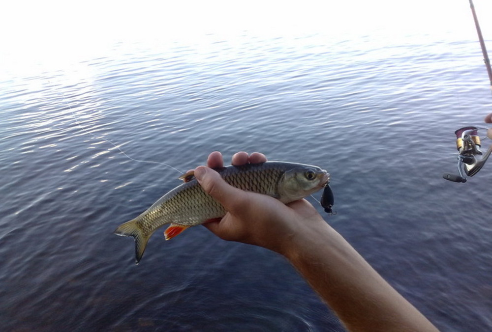 280720121260_428.jpg