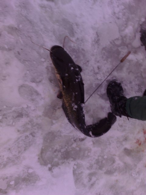 28122008627.jpg