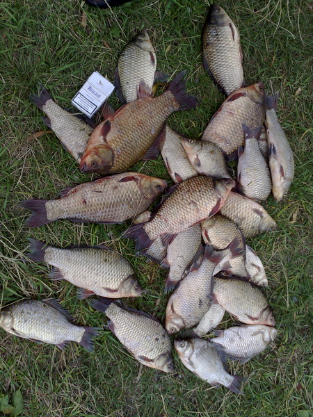 29072009715.jpg