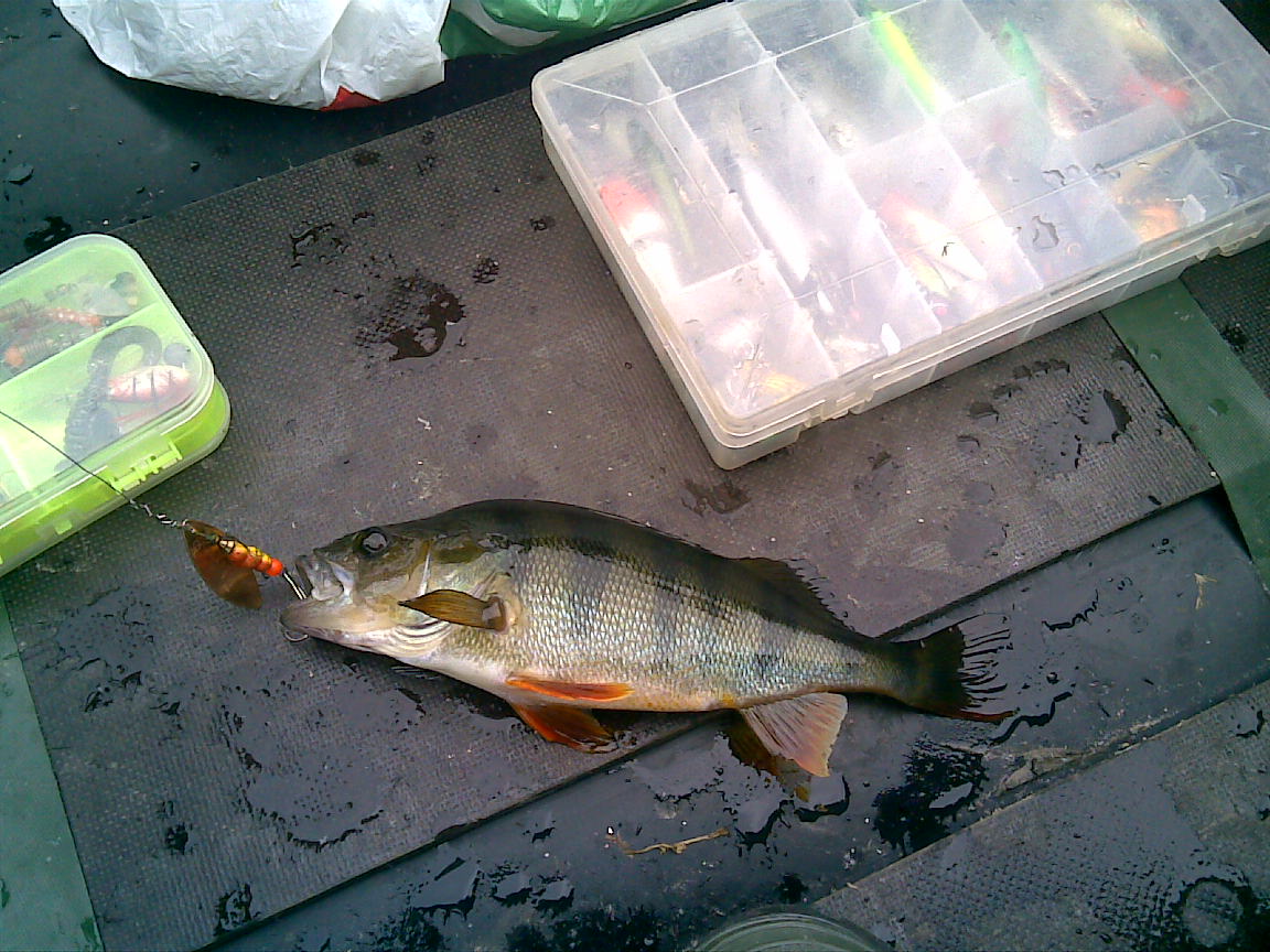 29092010(001).jpg