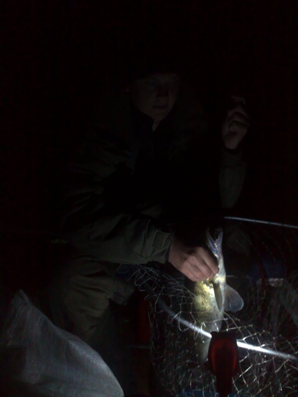 31102010034.jpg