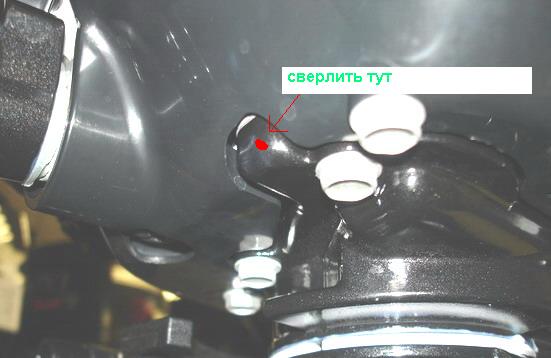 349196_32411.jpg