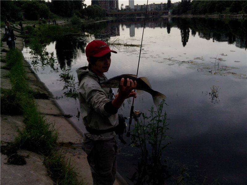 528bfee479f1.jpg