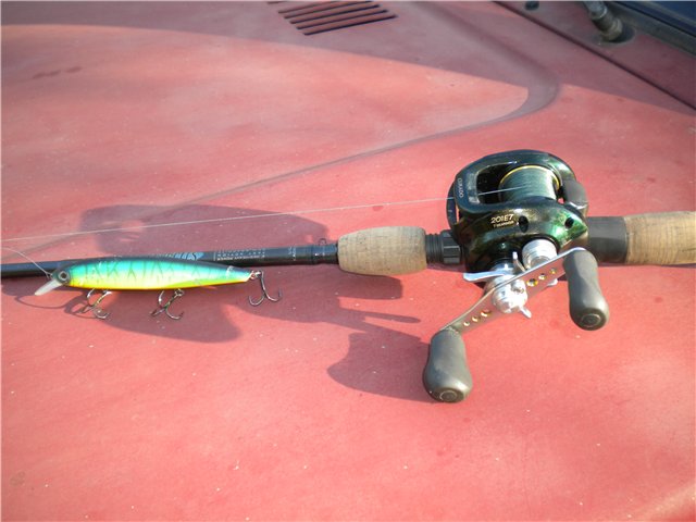 73d47831ae76.jpg
