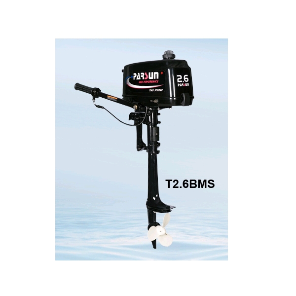 8027315_pasun_outboard_2hp_3.jpg