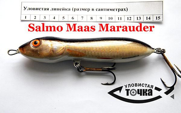 80fcfc9d17914aed9bc41dfe48df72f5_2.jpg