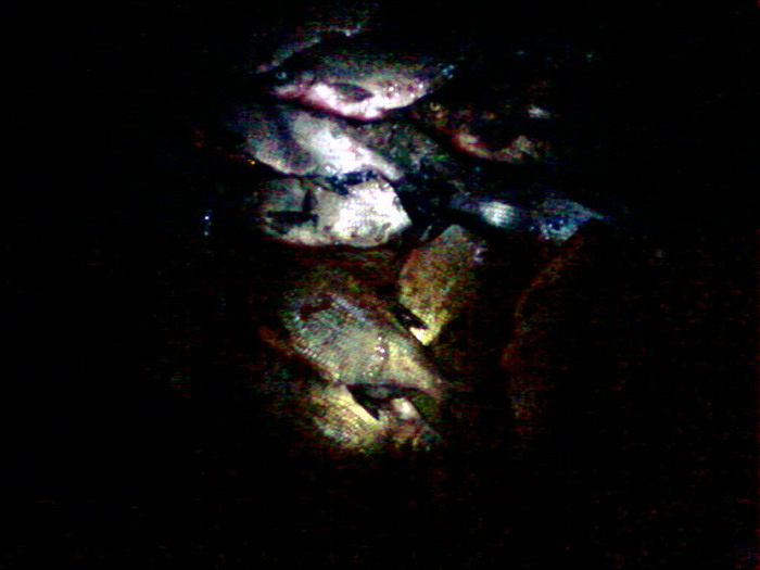 -0013.jpg