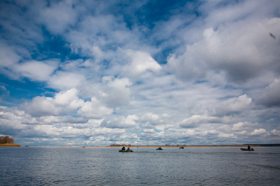 _MG_6261.jpg