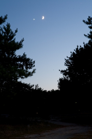 _MG_6365.jpg