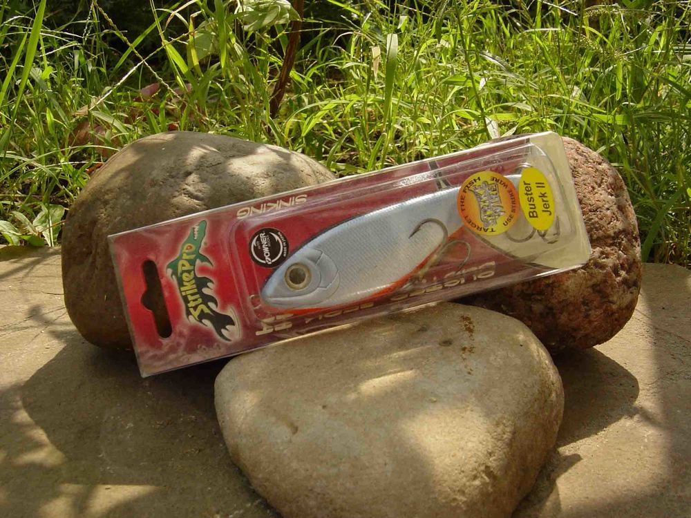 a010.jpg