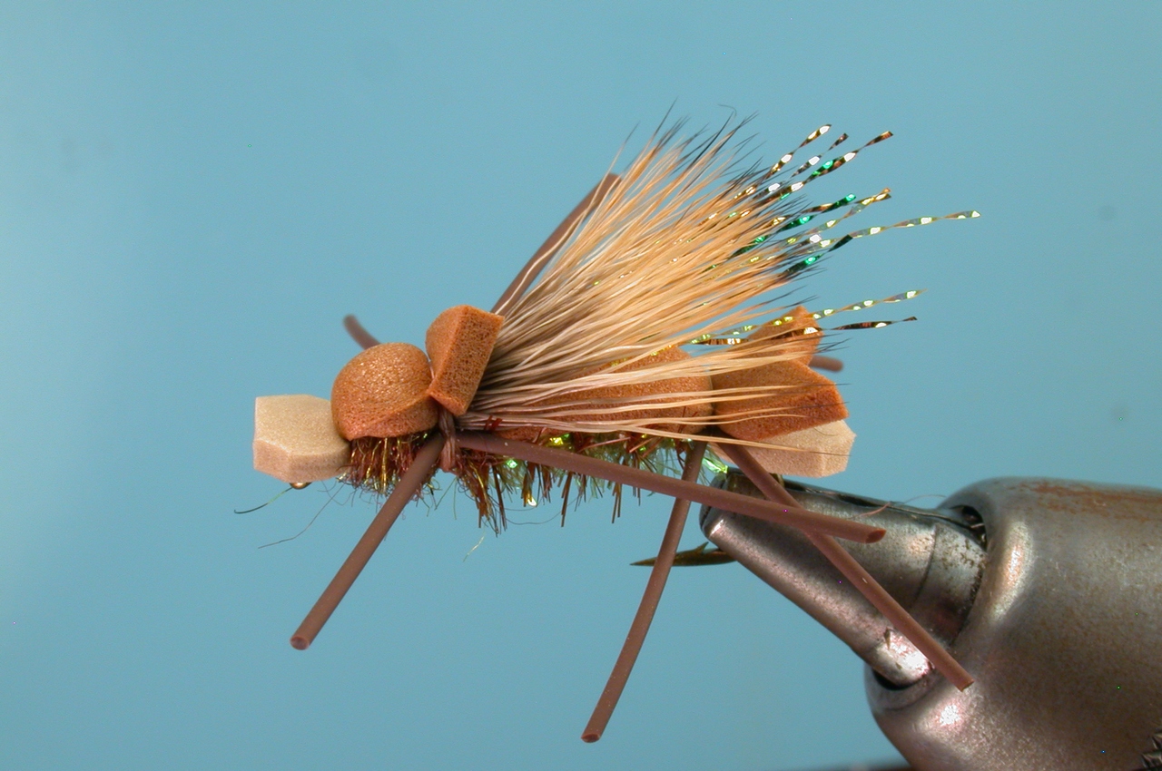 Amys Ant 040.jpg