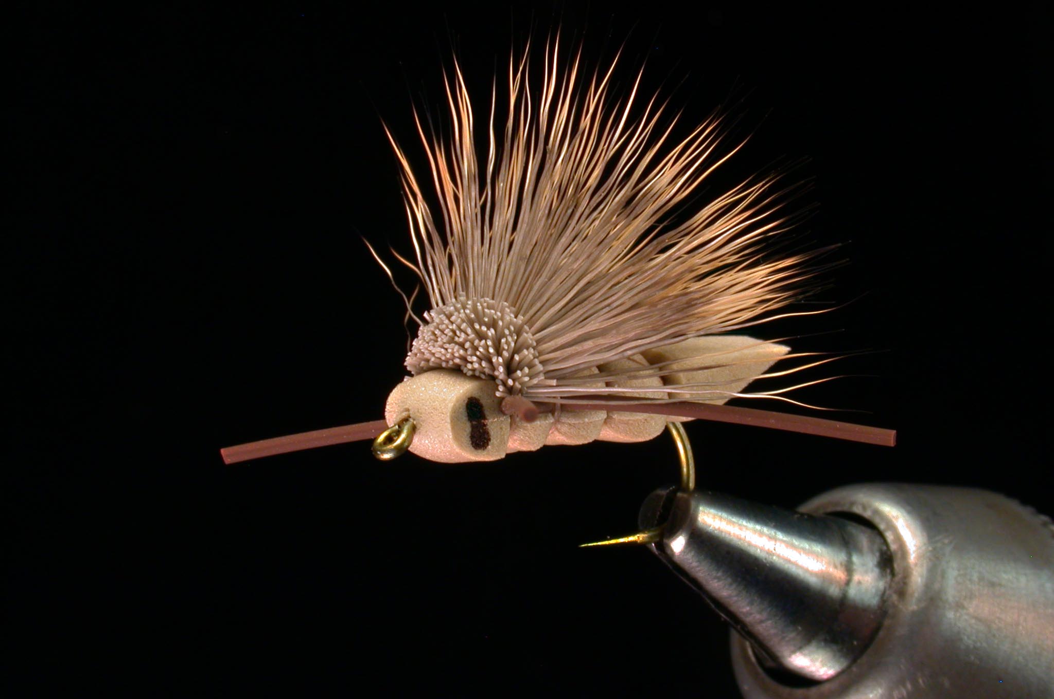 charlie-boy-hopper (58).jpg
