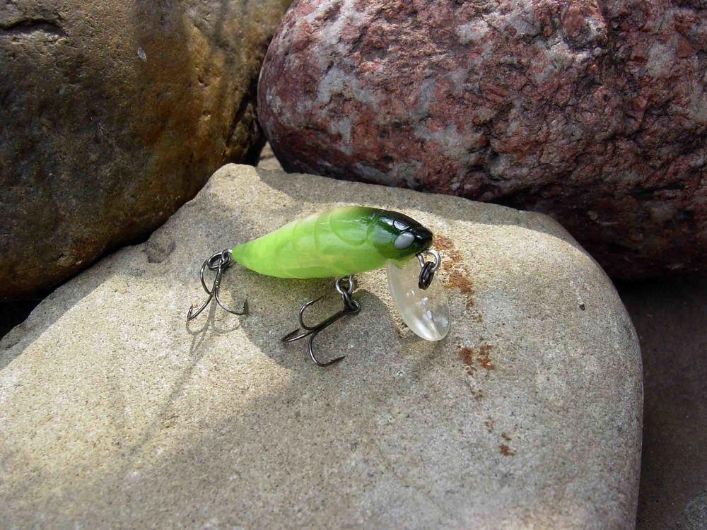 cicada green.jpg