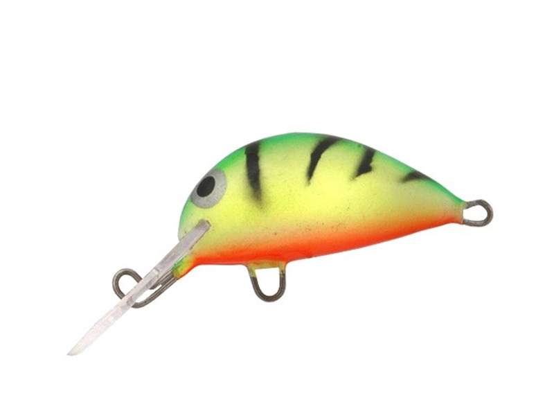 Dorado.jpg