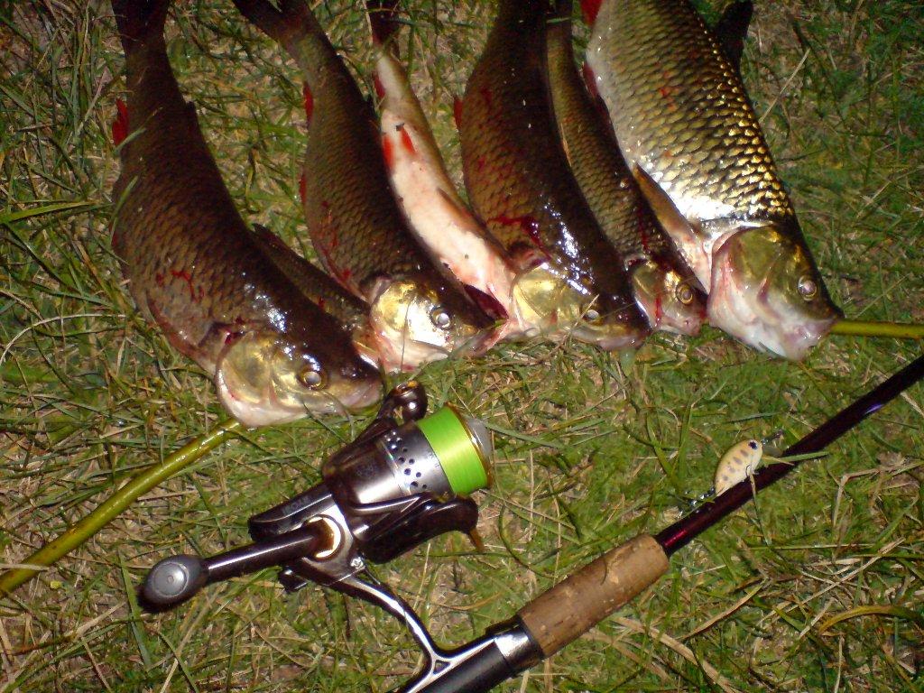 DSC00005.JPG