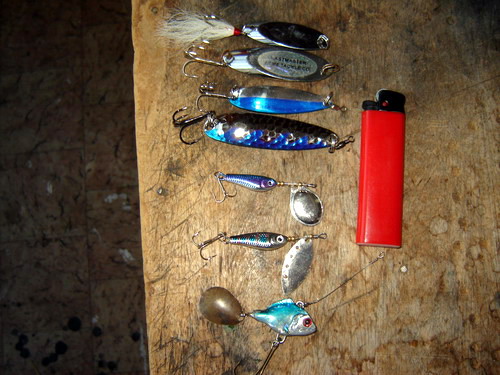 DSC00025.jpg