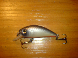 DSC00071 2.jpg
