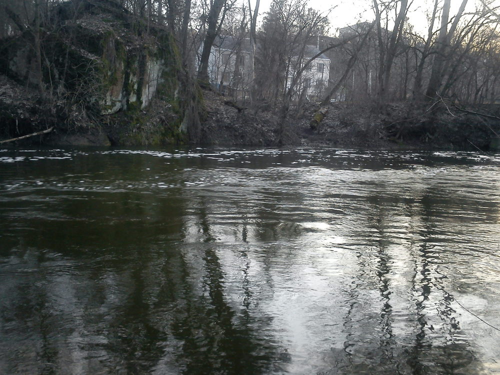 DSC00124.JPG