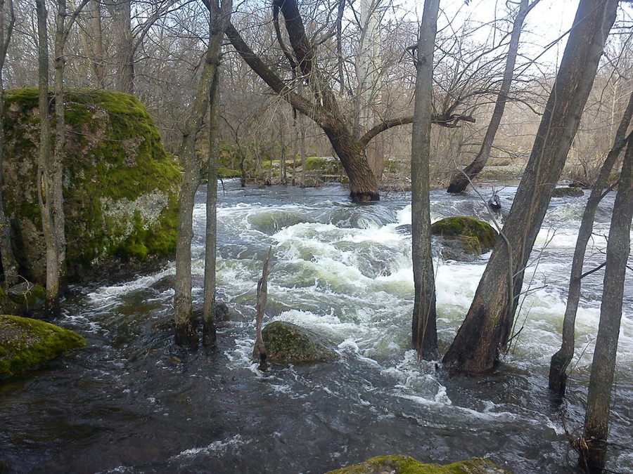 DSC00150.JPG