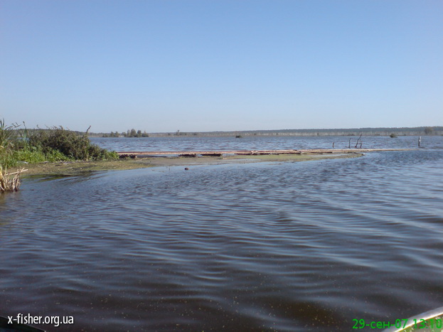 DSC00483.JPG