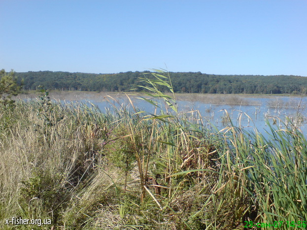DSC00496.JPG