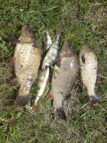 DSC00583.JPG