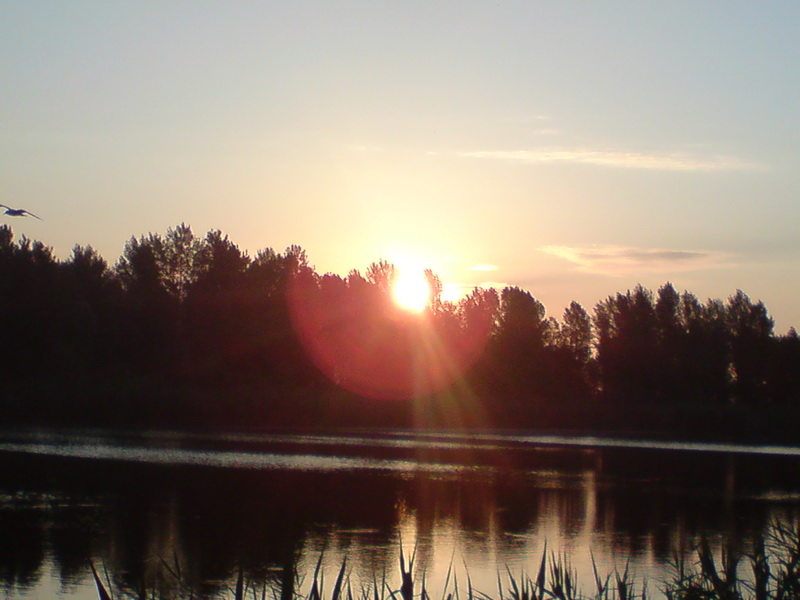 DSC00661.JPG