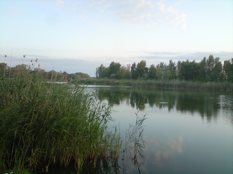 DSC00662.JPG
