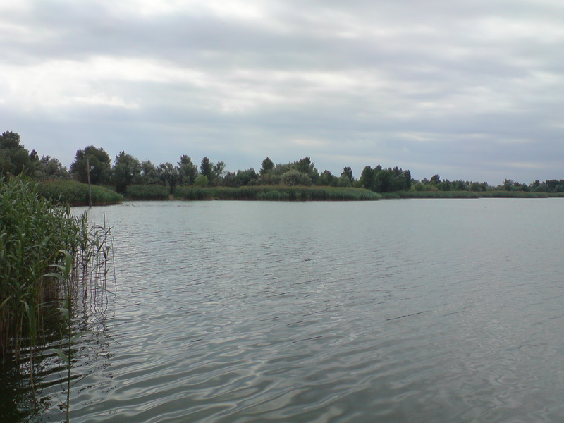 DSC00667.JPG