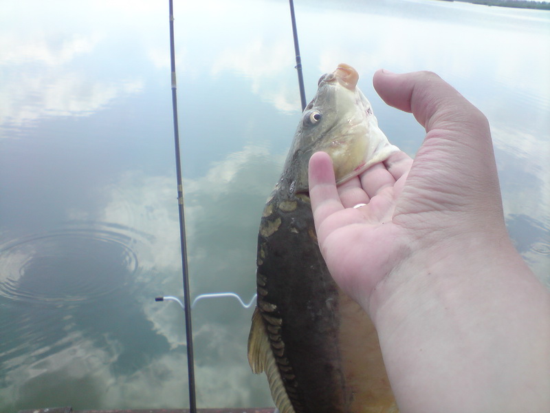 DSC00676.JPG