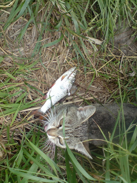 DSC00678.JPG