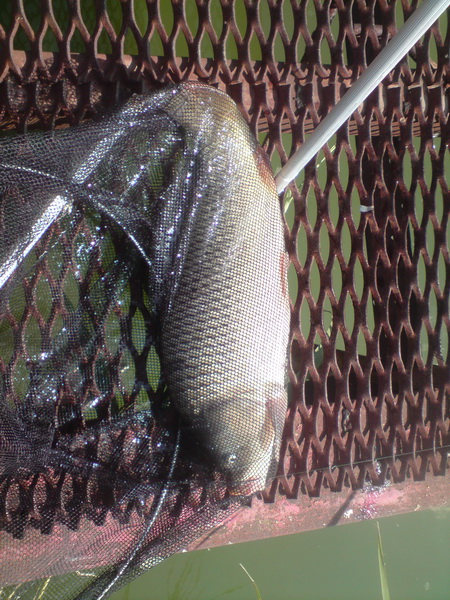 DSC00679.JPG