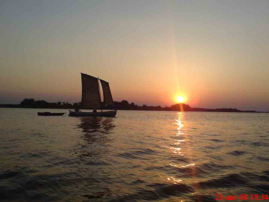 DSC00705.jpg