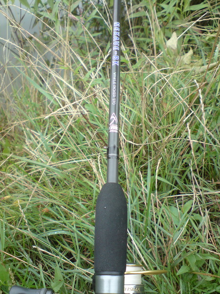 DSC00824.JPG
