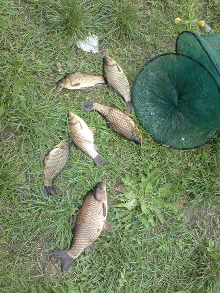 DSC00828.JPG