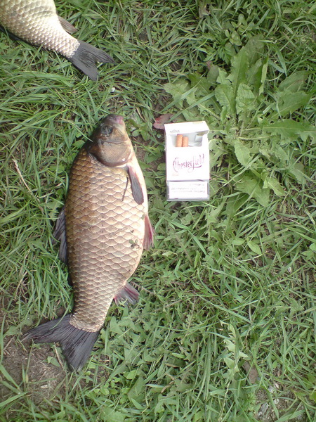 DSC00829.JPG