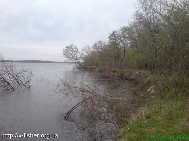 DSC00901.JPG