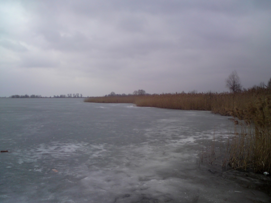 DSC00903.JPG
