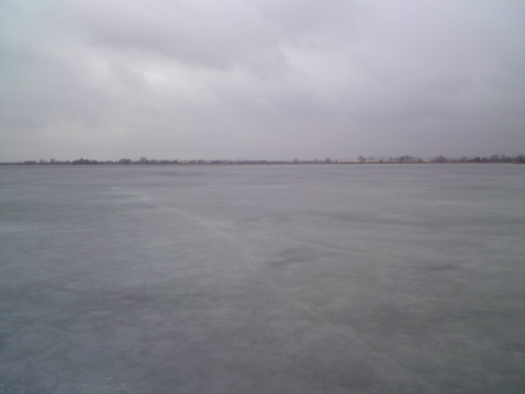 DSC00923.JPG