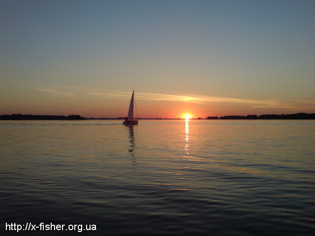 DSC00975.JPG