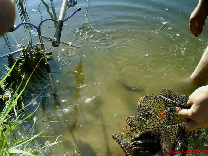 DSC01045.JPG