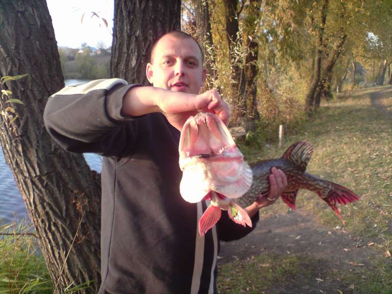 DSC01119_thumb.jpg