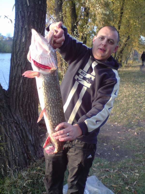 DSC01120_thumb.jpg