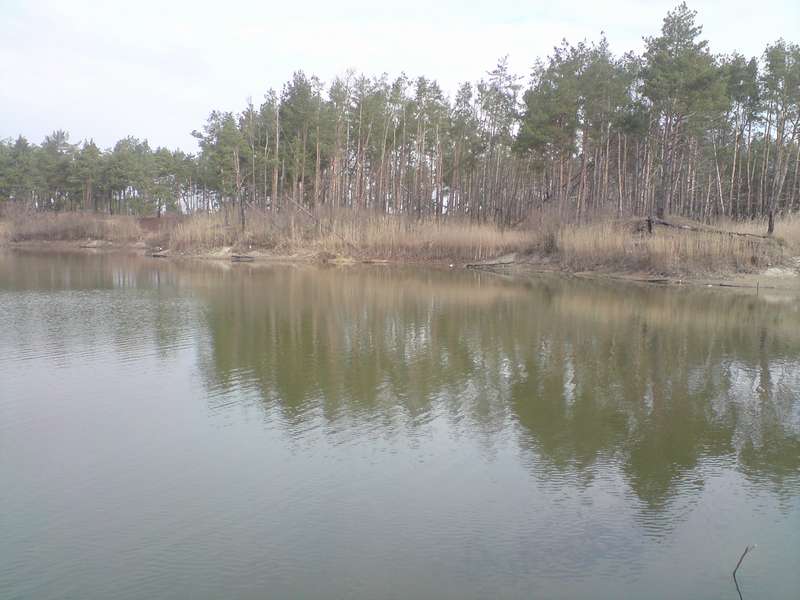 DSC01199_thumb.jpg
