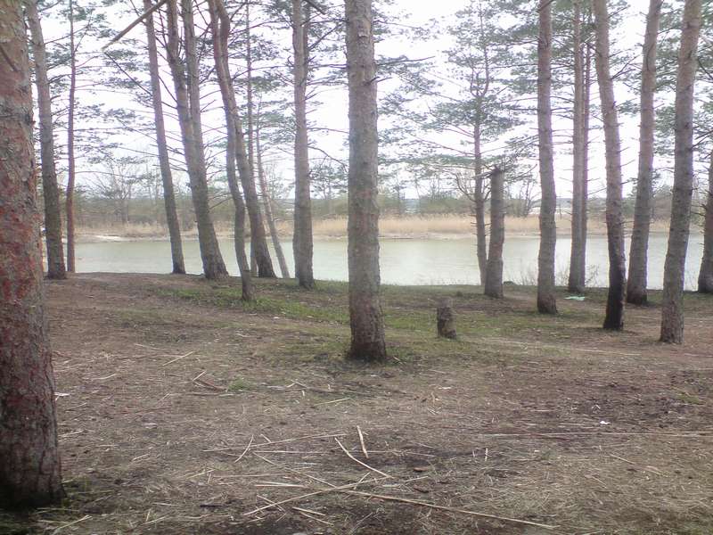 DSC01205_thumb.jpg