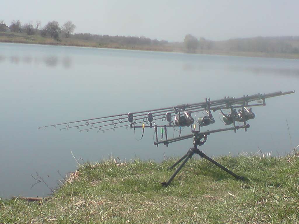 DSC01235_thumb.jpg