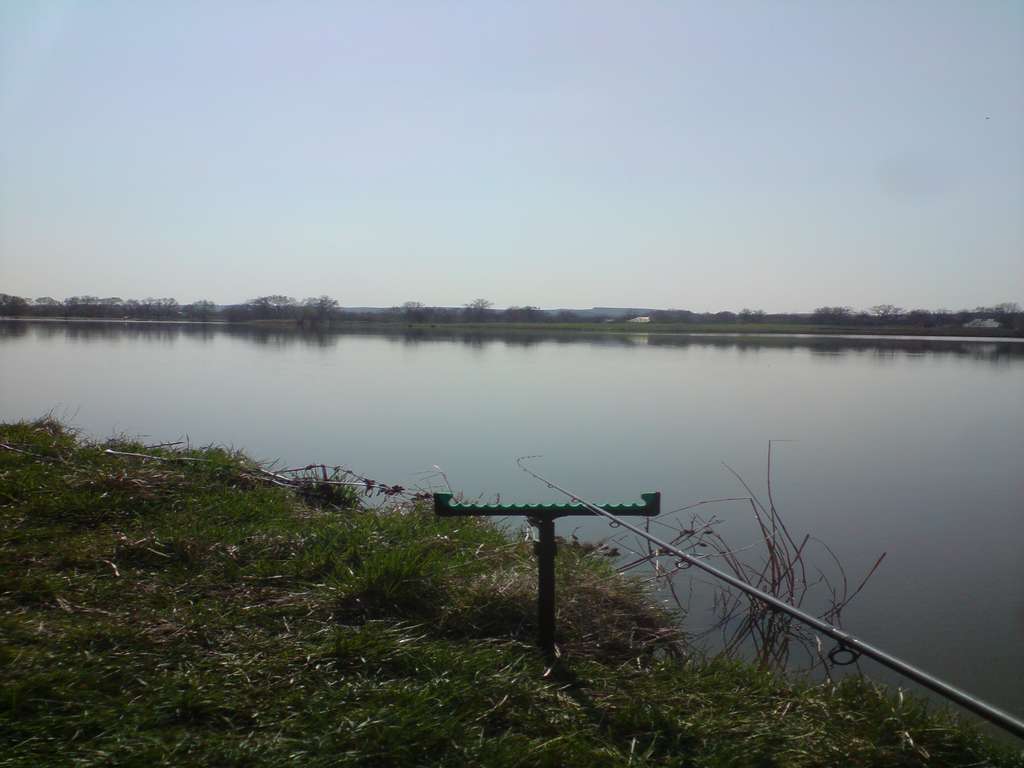DSC01236_thumb.jpg